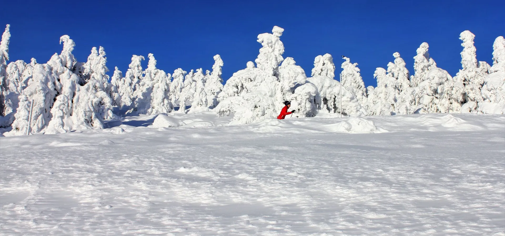 Langrenn på Hafjelltoppen i Øyerfjellet