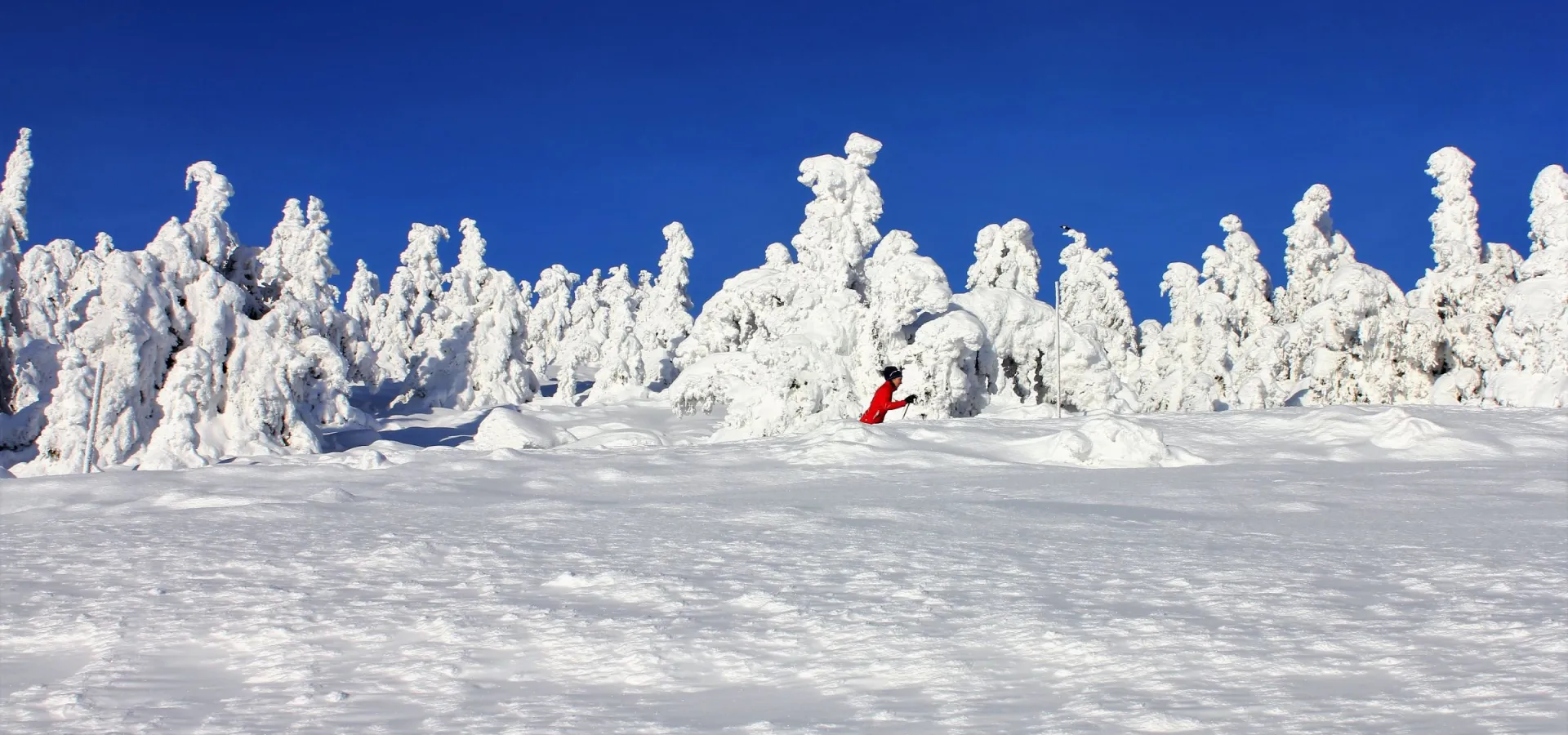Langrenn Hafjelltoppen