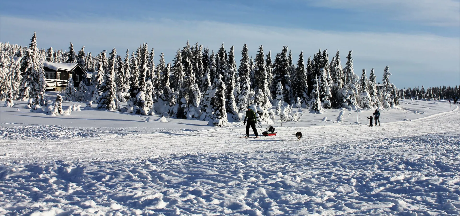 Hafjelltoppen