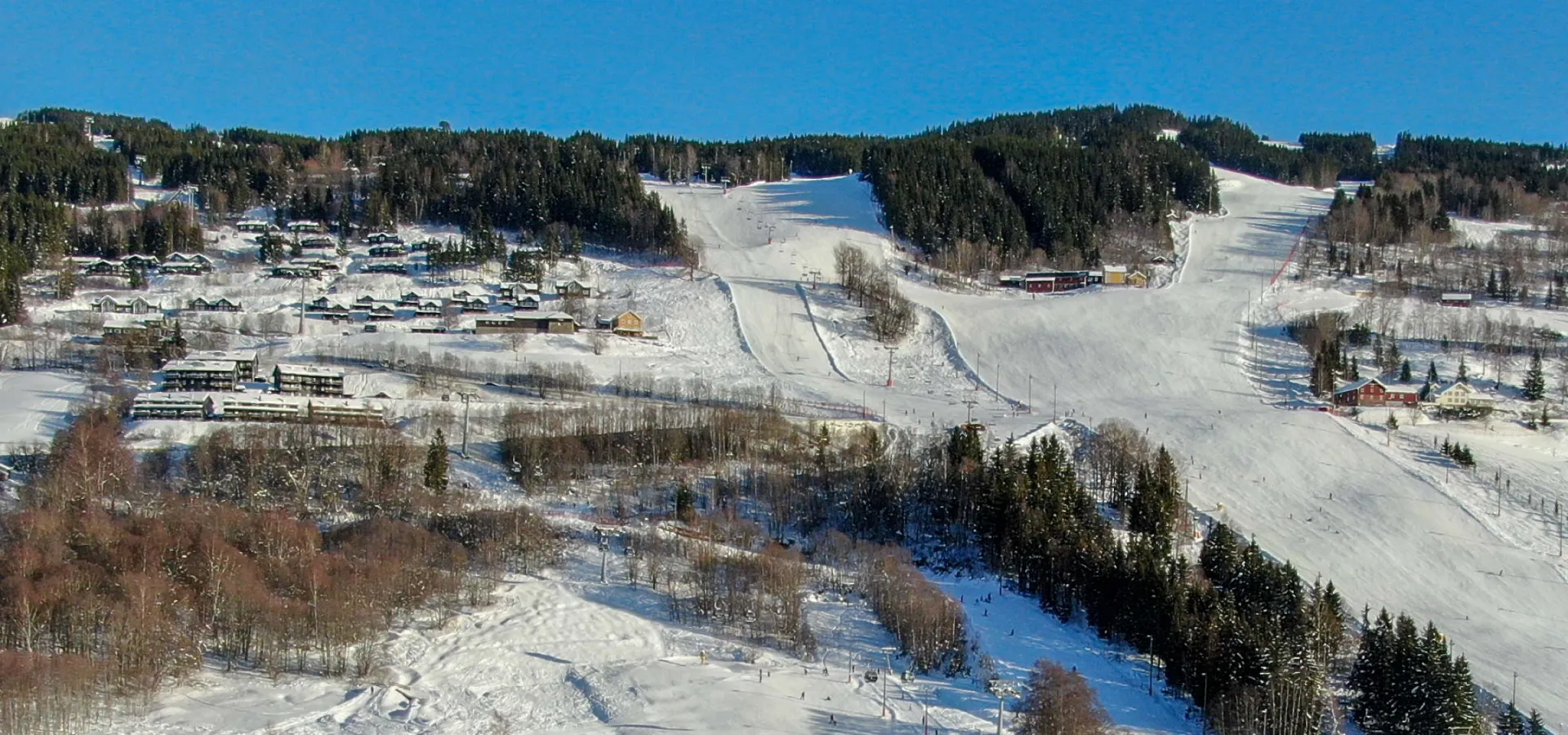 Drone Jaertunet