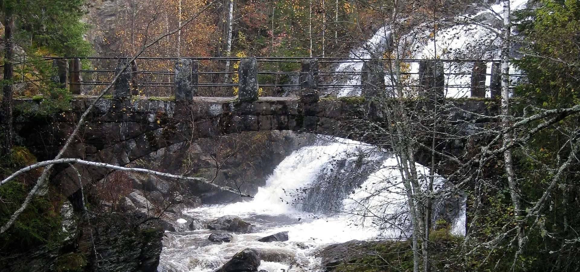Mesna kultursti