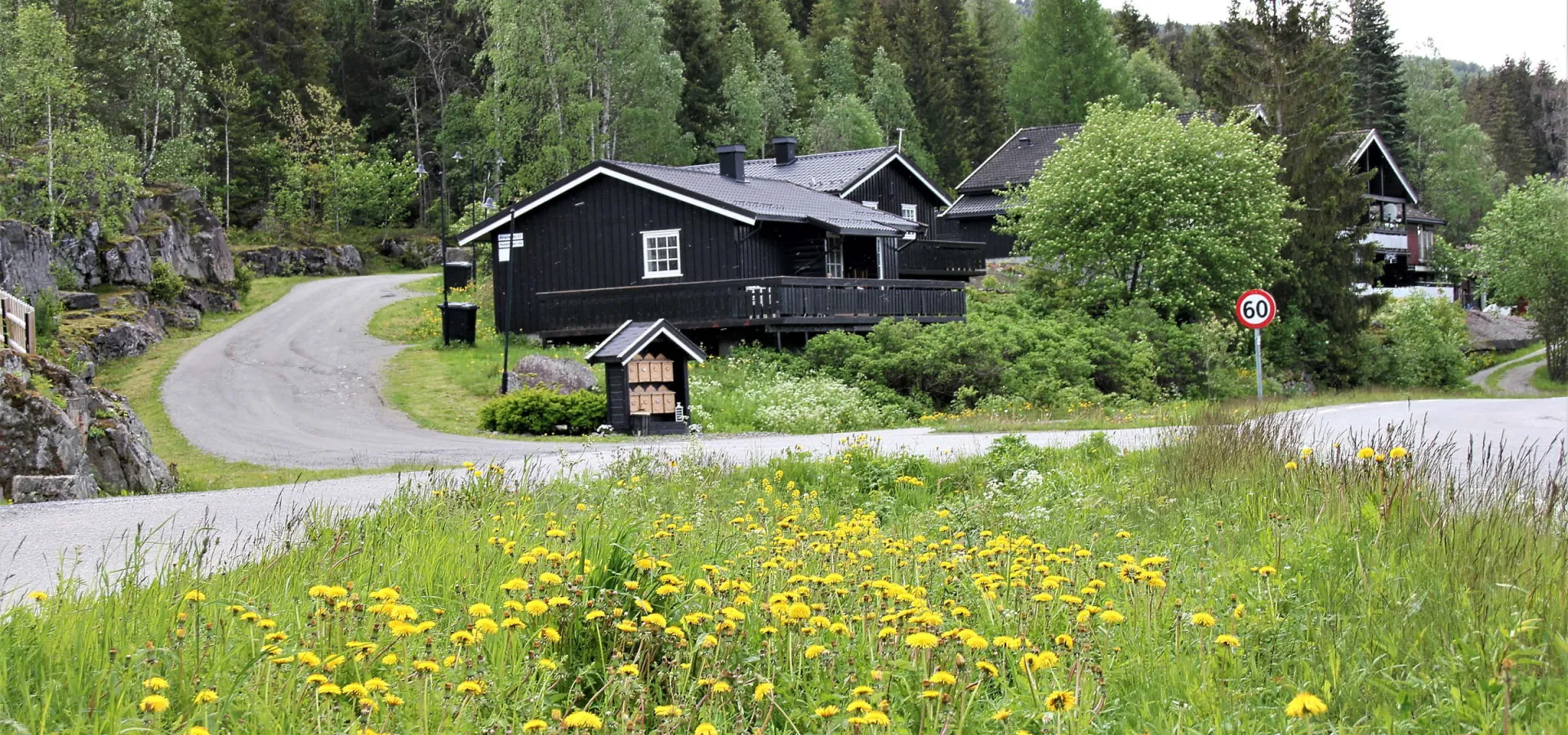 Bergstad sommer