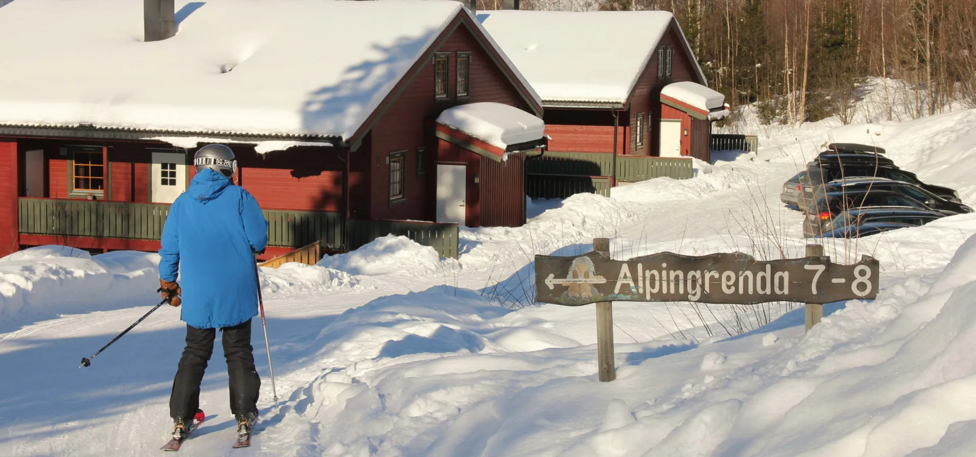Ski inn ski ut Alpingrenda