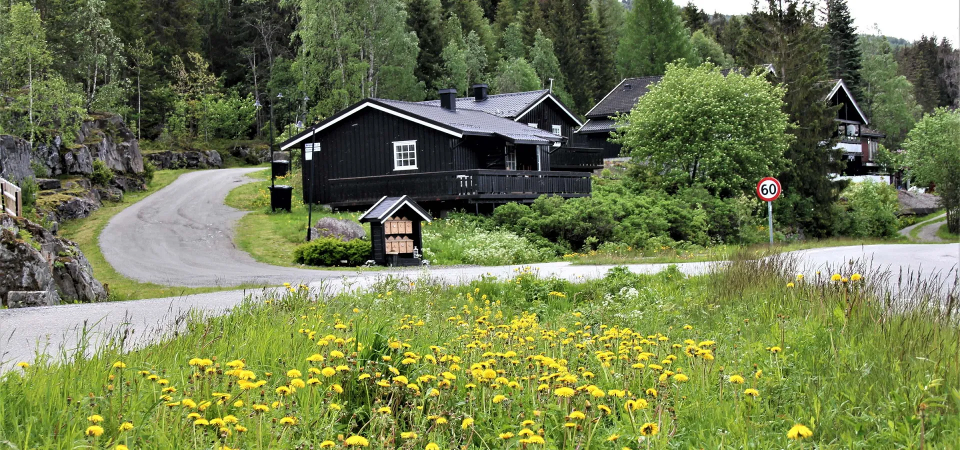 Bergstad