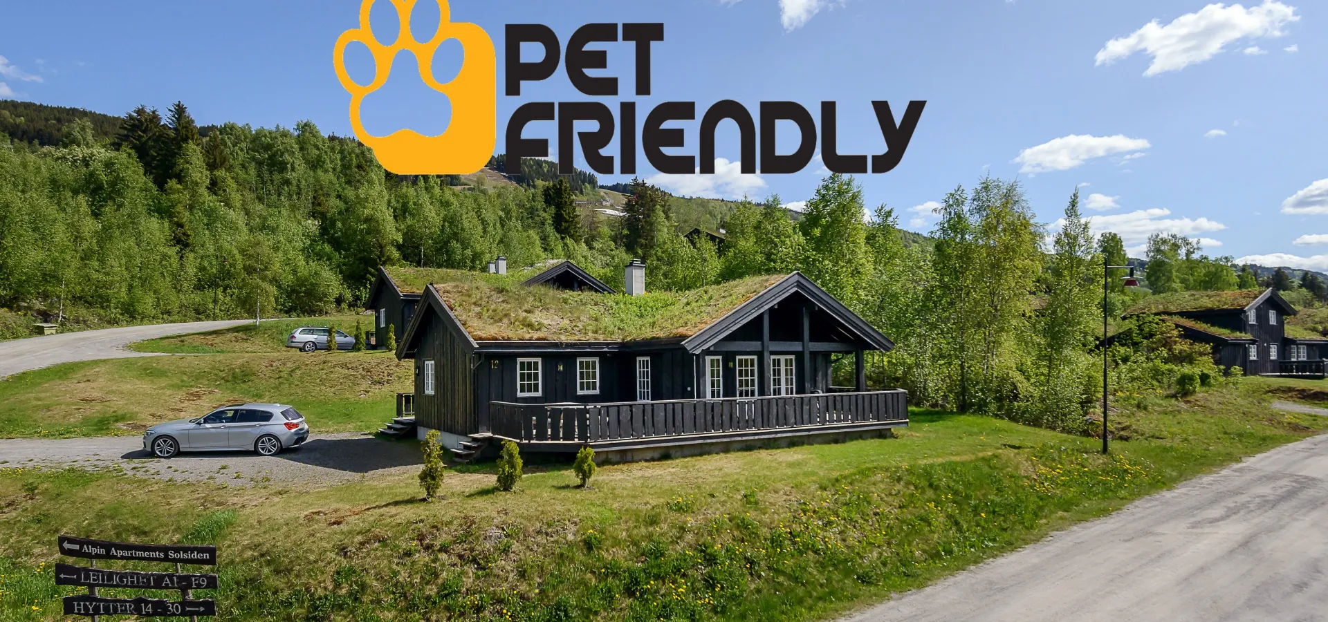 leie hytte på fjellet med hund