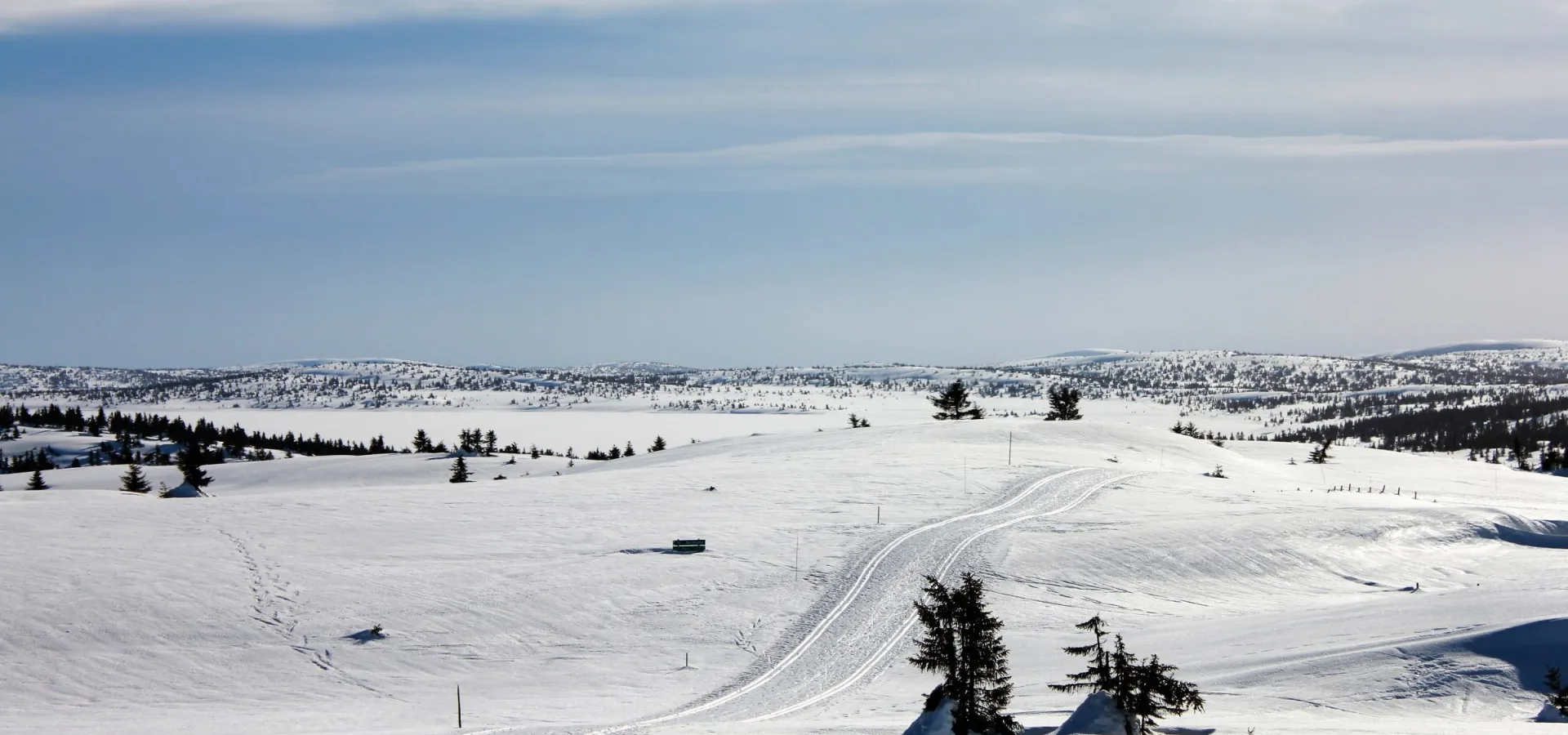 Langrennsløyper