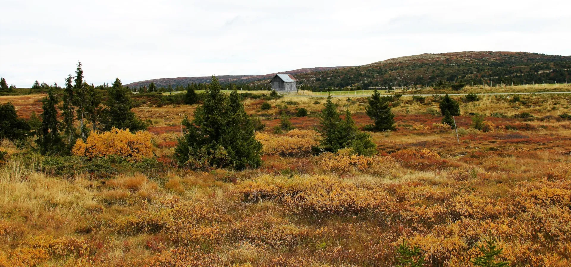 Fjelltur i høstferie