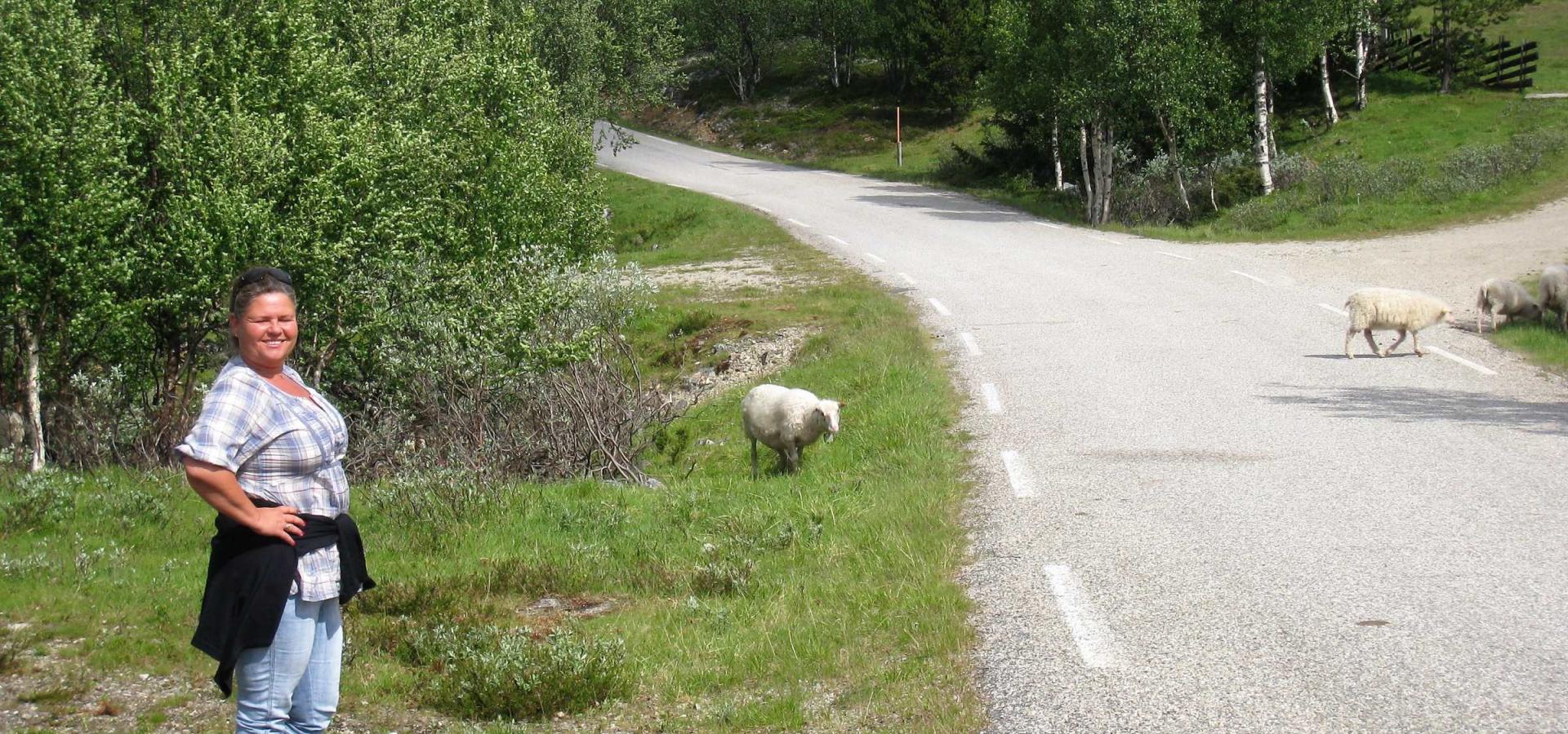 Fjellvei i Oppland