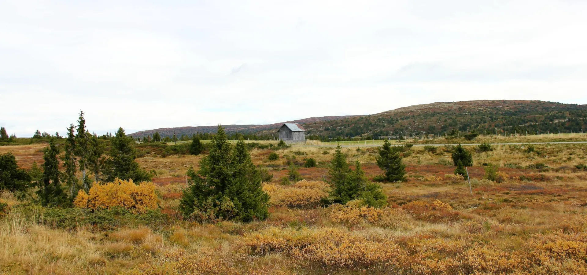 Øyerfjellet