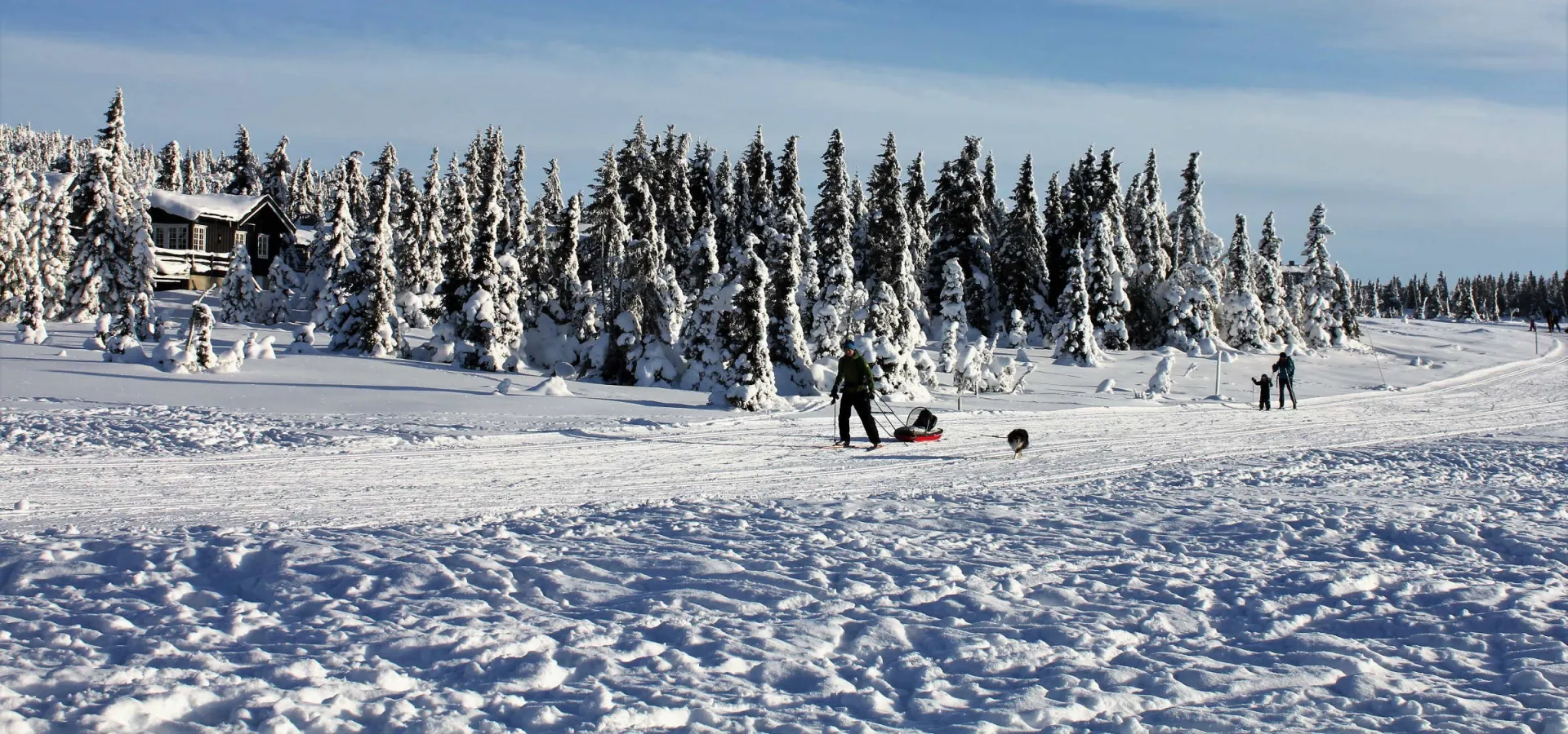 Skiferie på Hafjell med hund