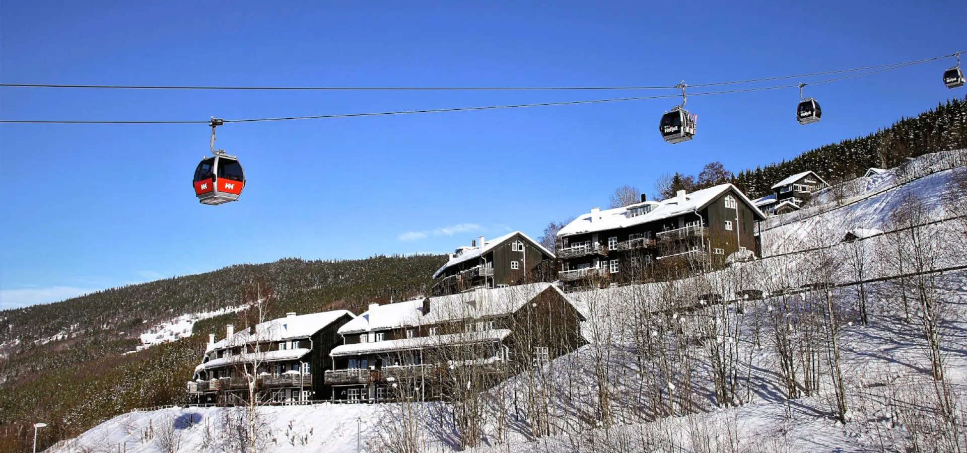 Skidor vecka 1