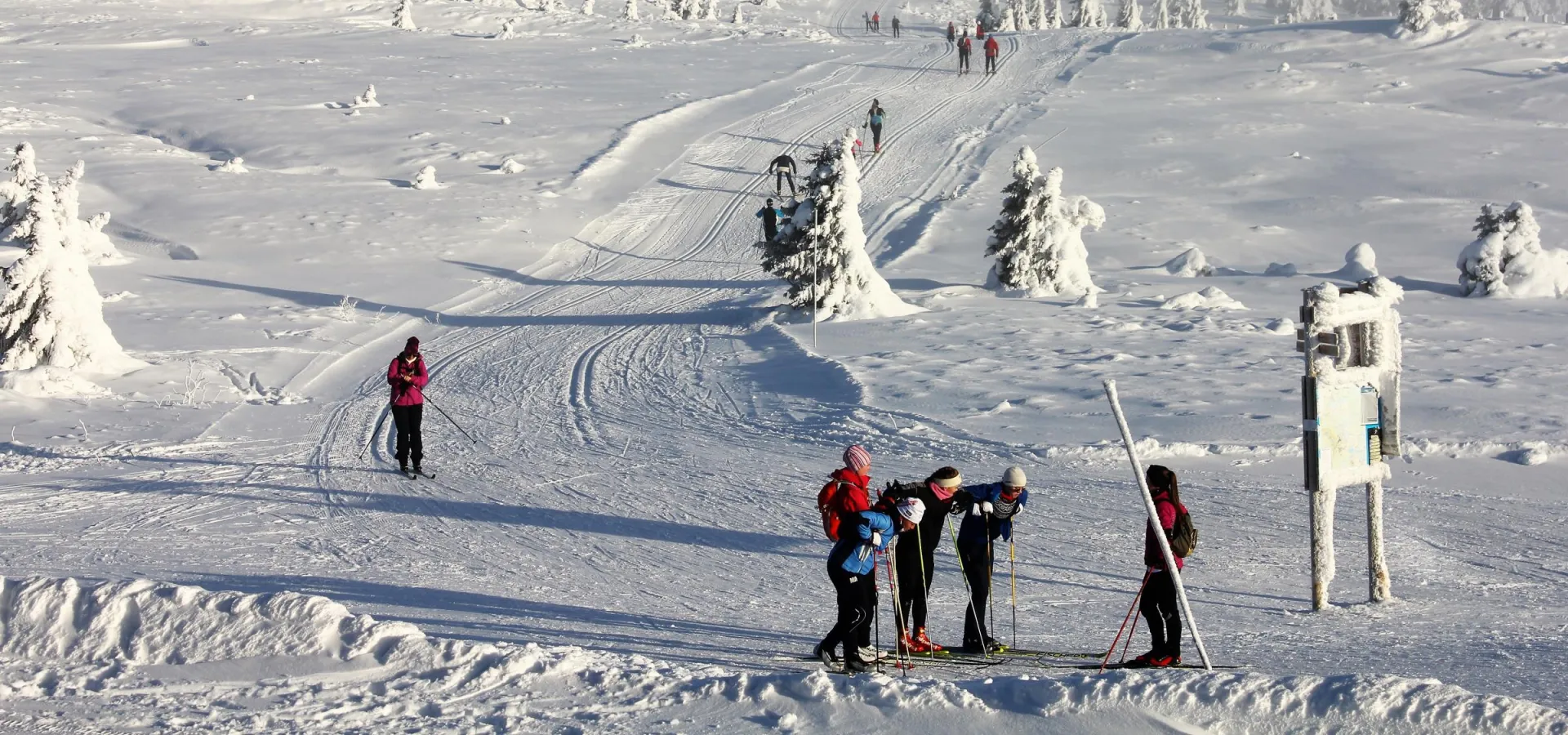 Hafjelltoppen ved Pellestova