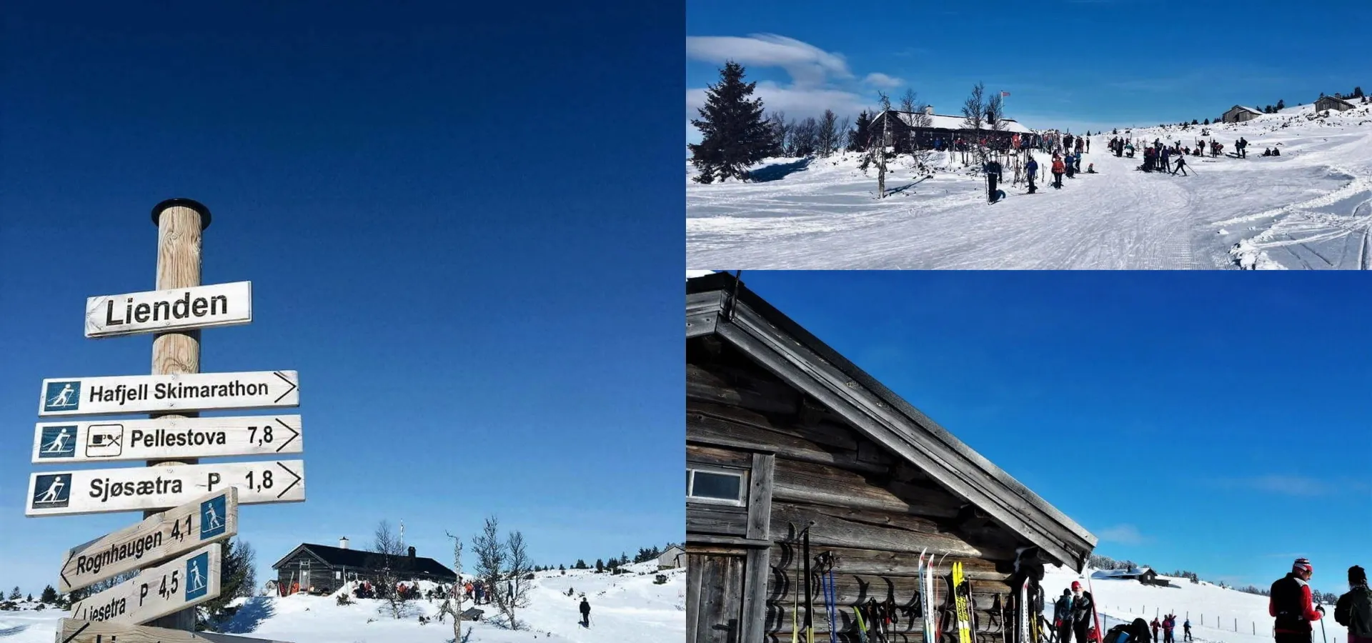Lienden på Øyerfjellet