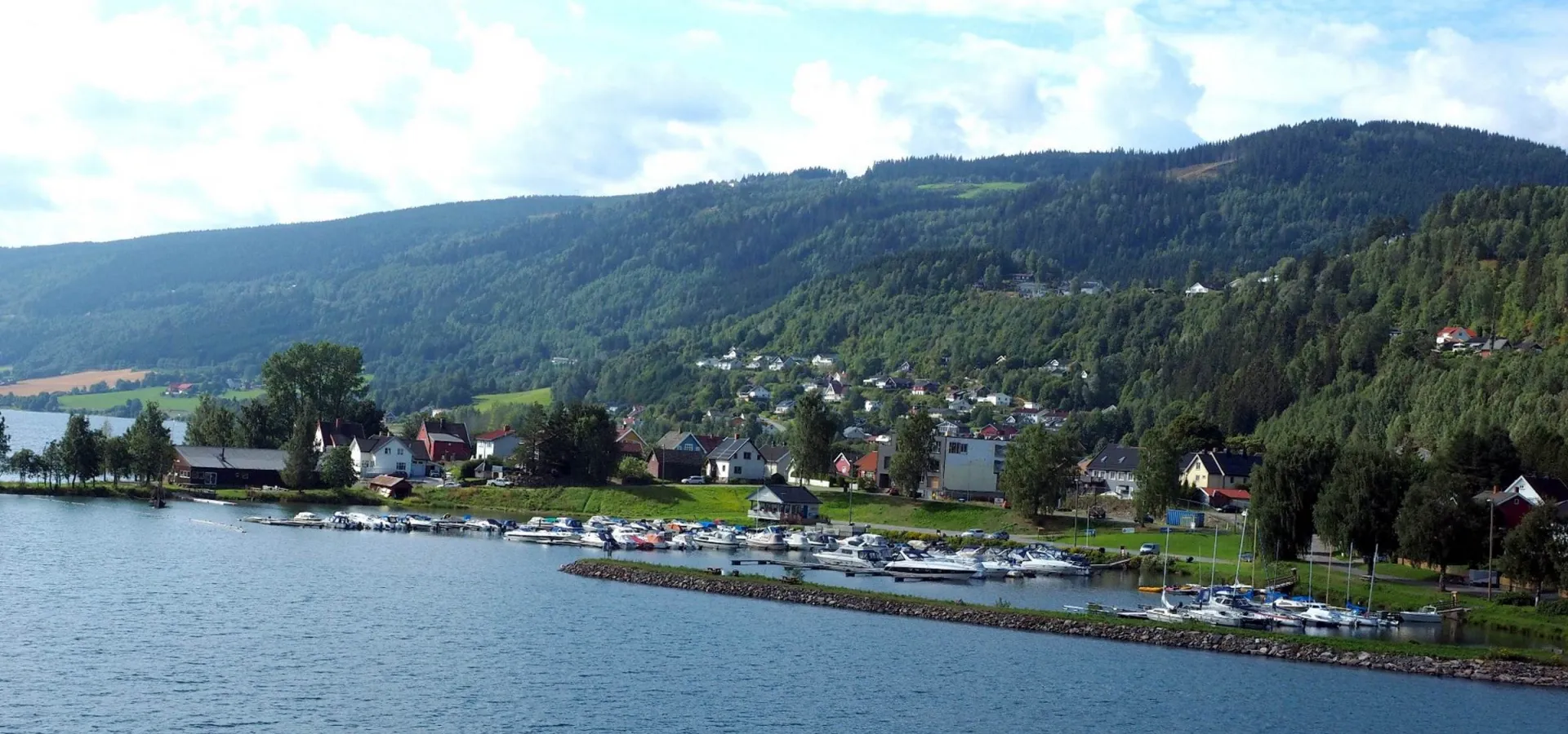 Vingnes 