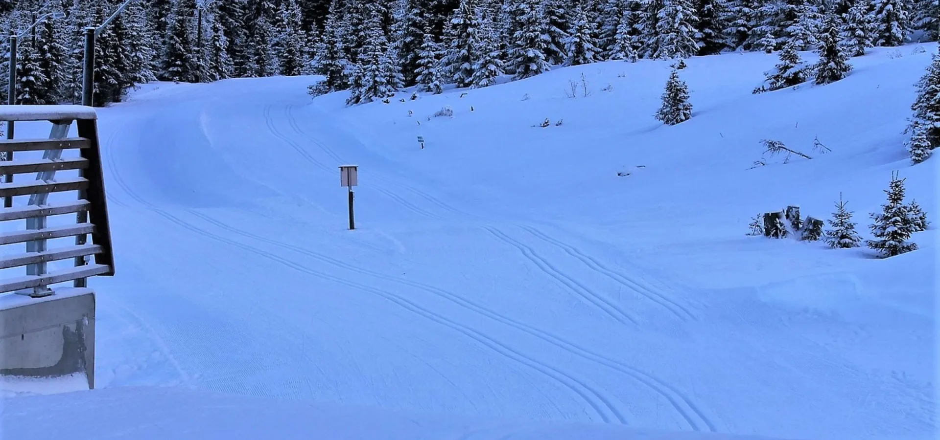 Mosetertoppen