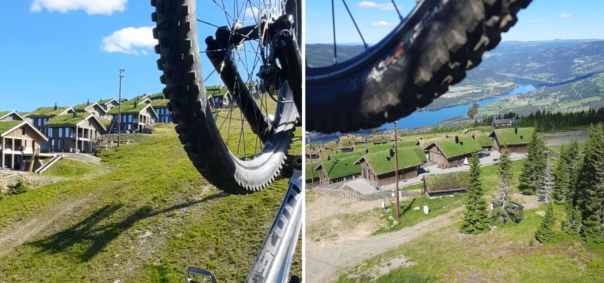 Nest på Mosetertoppen