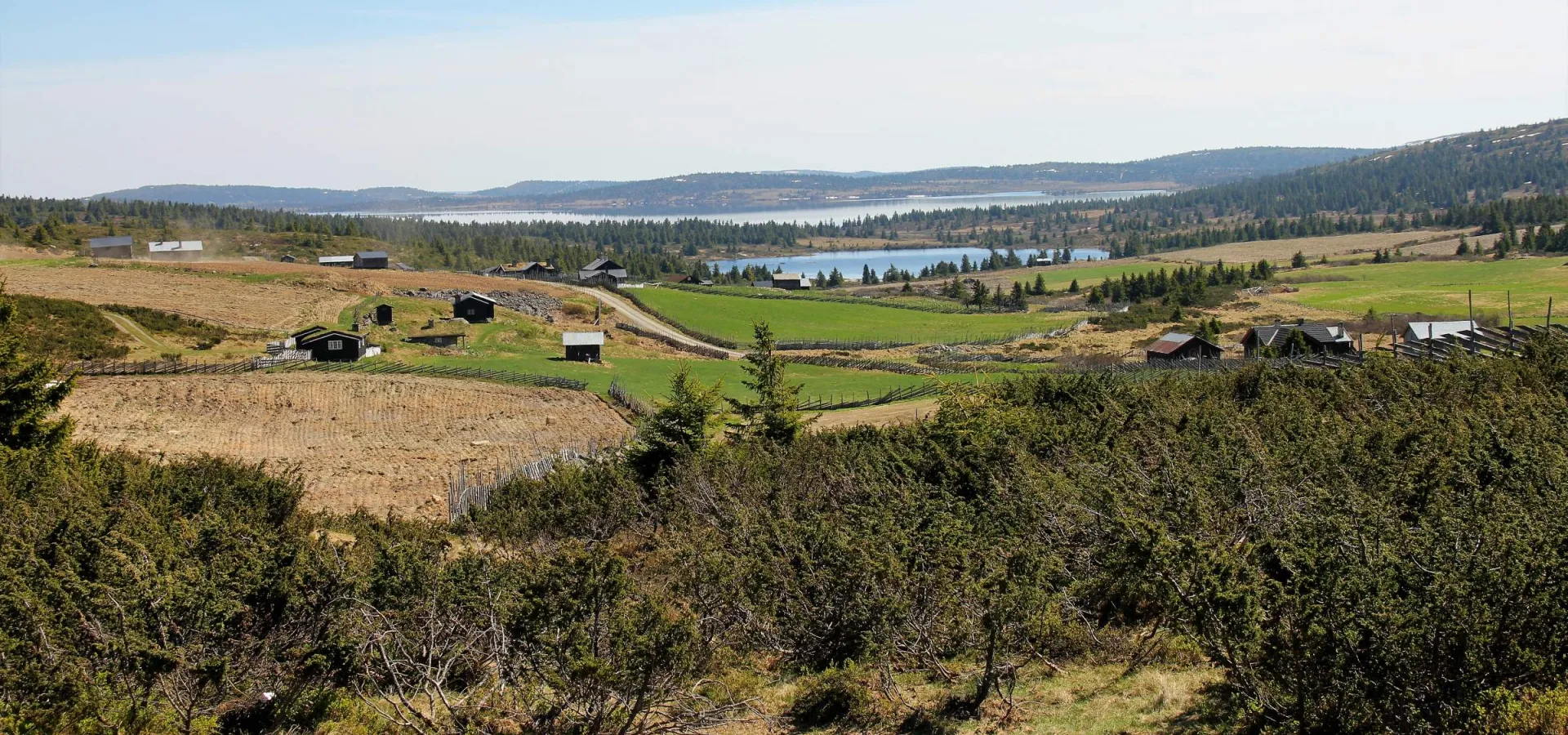 Øyerfjellet en sommerdag