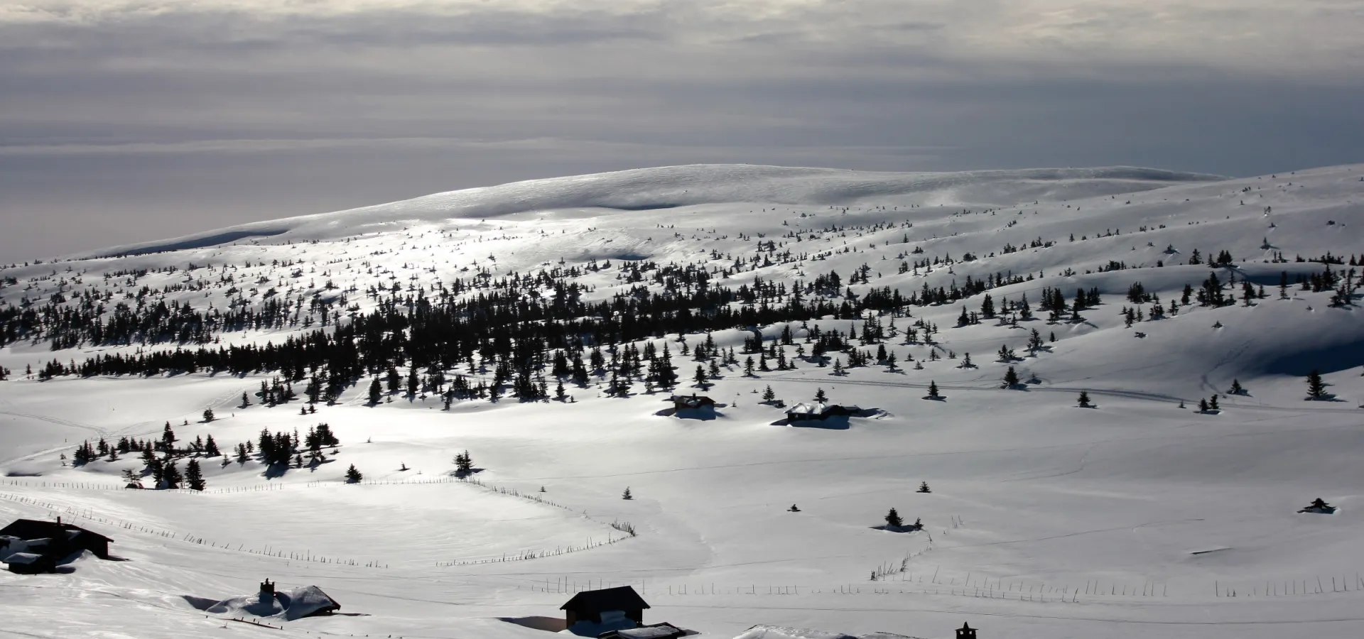 Snow in Norway