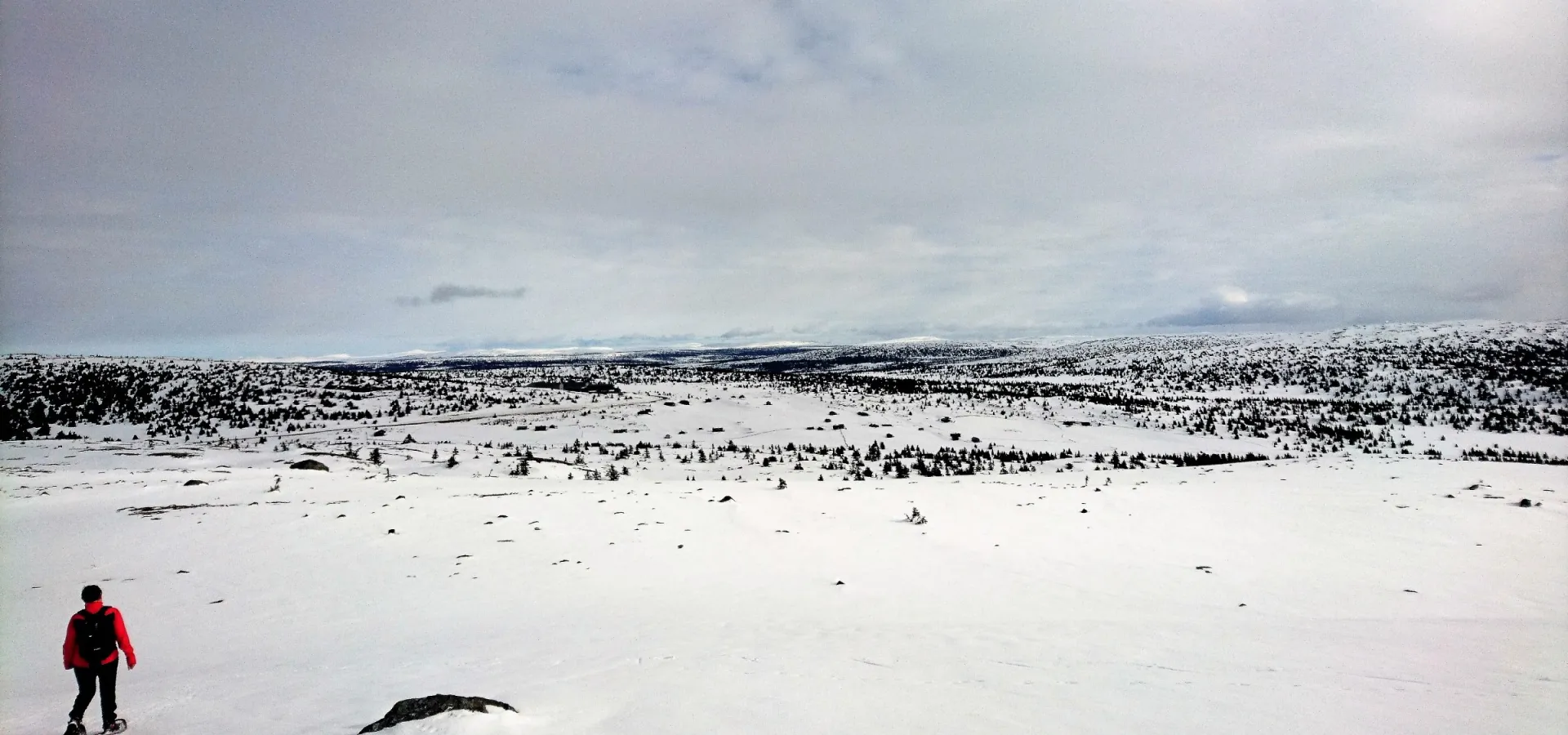 Snowshoing