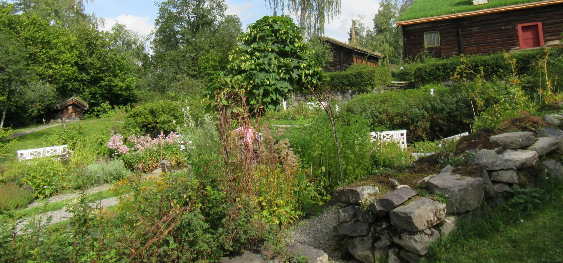 Urtehagen på Maihaugen