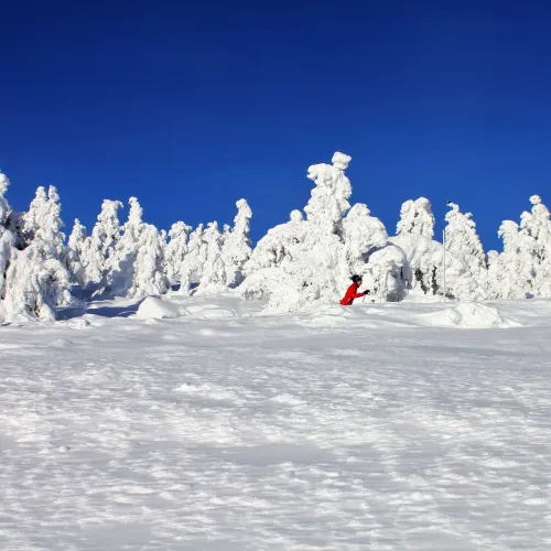 Langrenn Hafjelltoppen