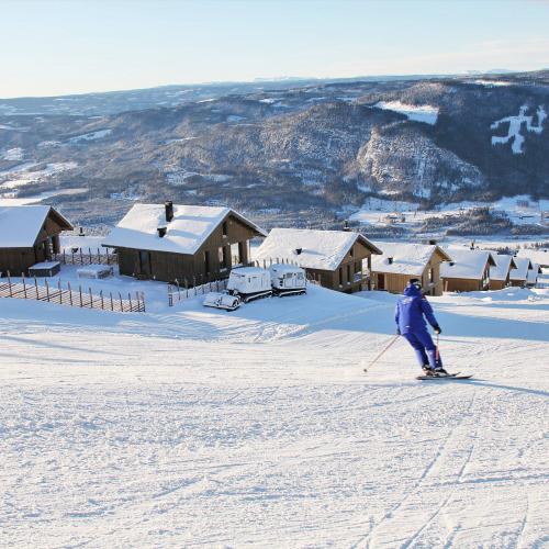 Ski inn ski ut hytter