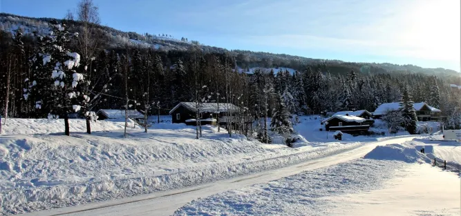 Bergstad 17