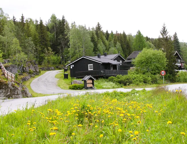 Bergstad 16