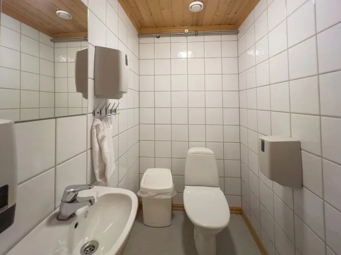 A bathroom with toilet and sink.