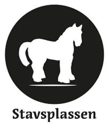 Paardenshow 