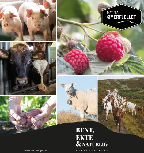 Voedsel uit Øyerfjellet 