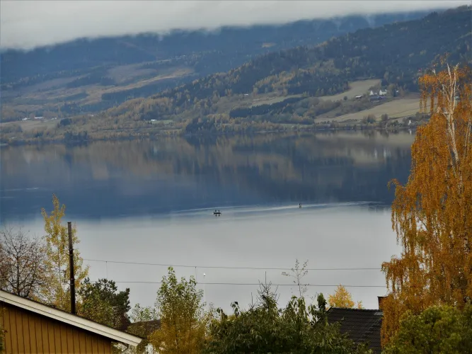 Vissen in Lillehammer, Mjøsa en Gudbrandsdalen
