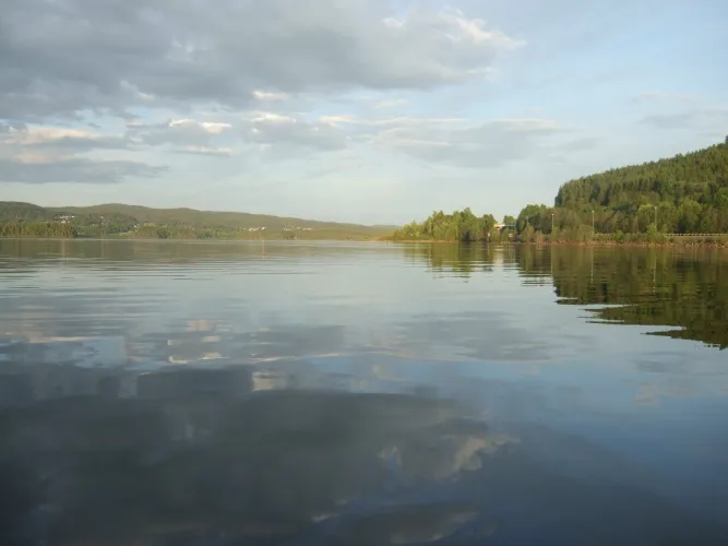 Vissen in Lillehammer, Mjøsa en Gudbrandsdalen