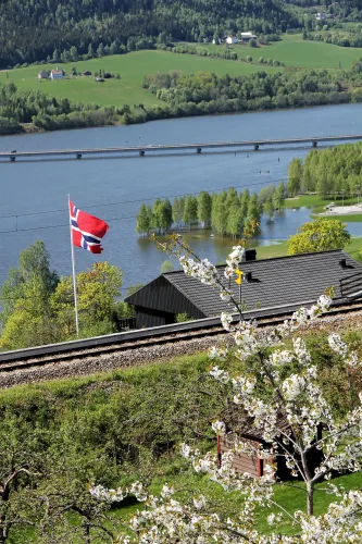 Vissen in Lillehammer, Mjøsa en Gudbrandsdalen