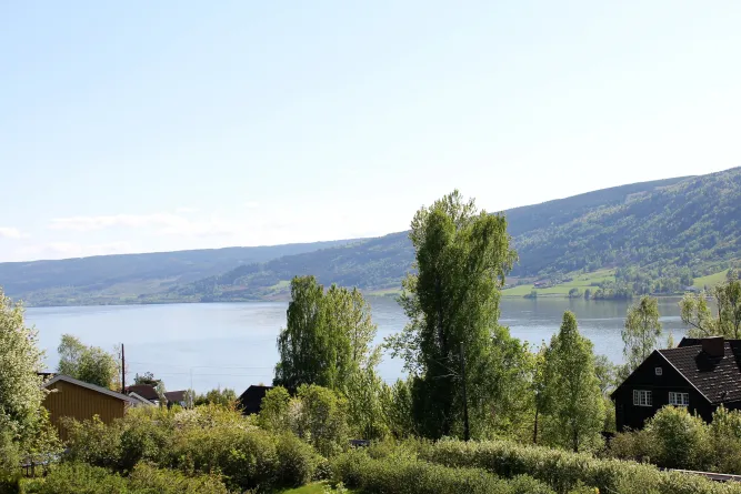 Vissen in Lillehammer, Mjøsa en Gudbrandsdalen