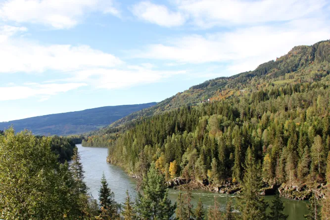 Vissen in Lillehammer, Mjøsa en Gudbrandsdalen