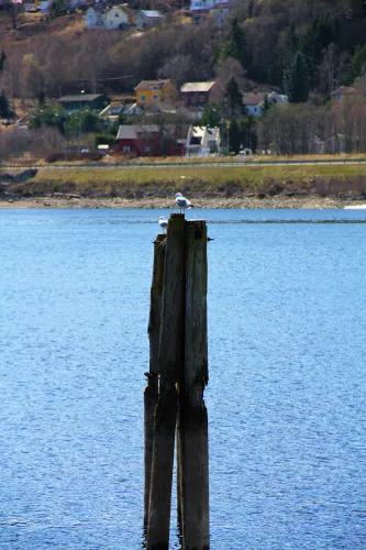 Strandpromenaden Lillehammer