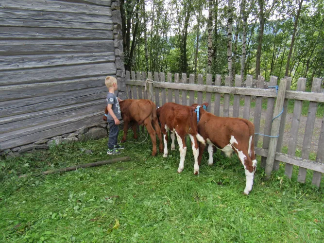 Sint-Jansavond in Maihaugen
