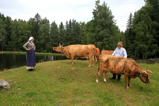Kinderzomerdag in Maihaugen