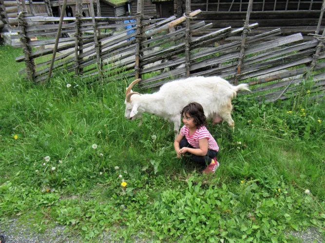Kinderzomerdag in Maihaugen