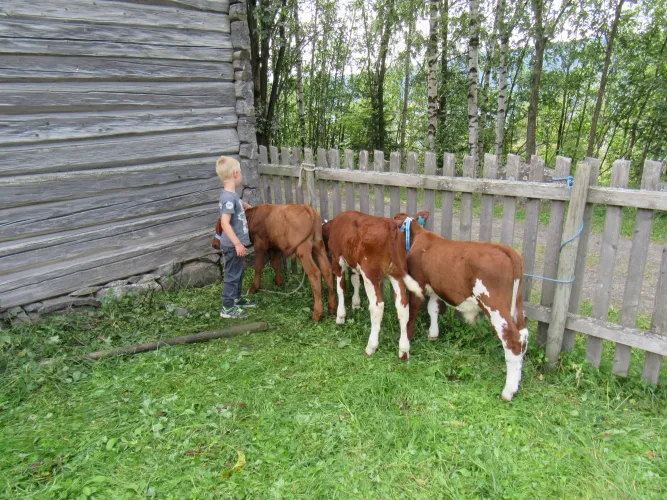 Kinderzomerdag in Maihaugen