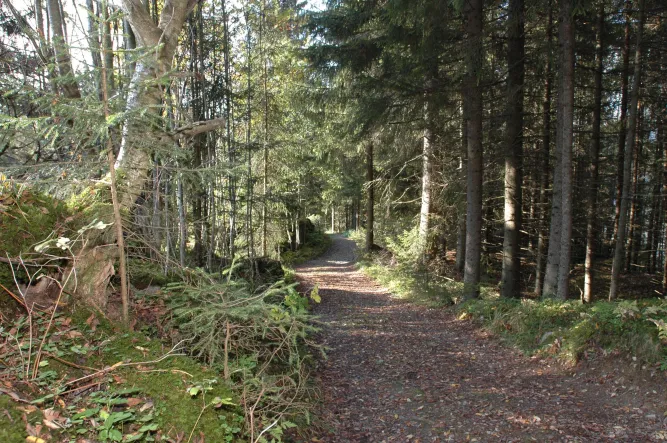 Wandelpaden in de gemeente Øyer