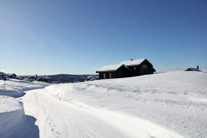 Wandeltochten 
