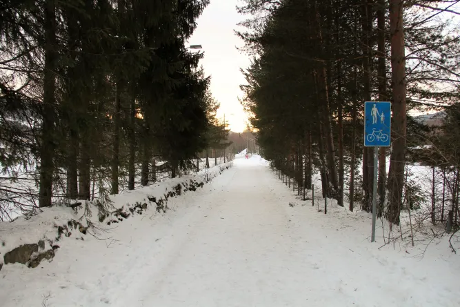 Wandeltochten 