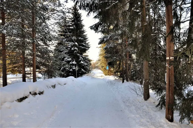 Wandeltochten 