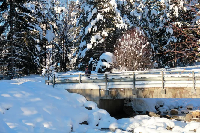 Wandeltochten 