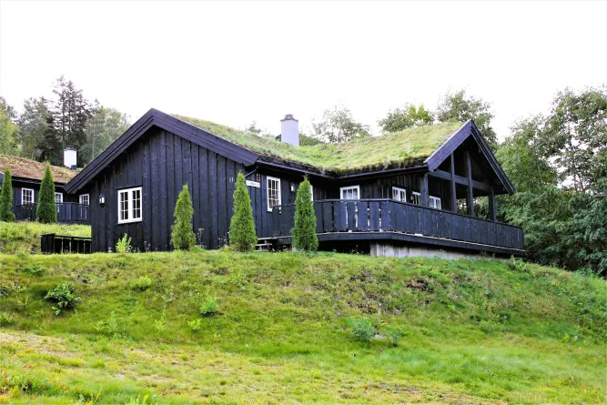 Nordlia 11