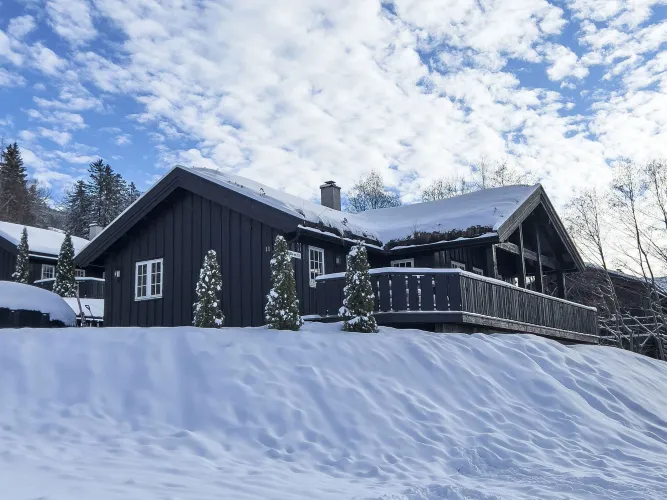Nordlia 11
