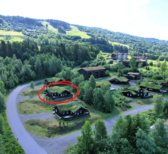 Nordlia 11