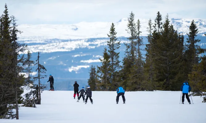 Skischool in Hafjell